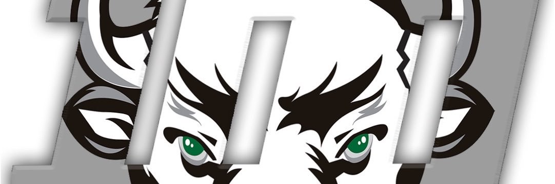MantecaFootball's profile banner image