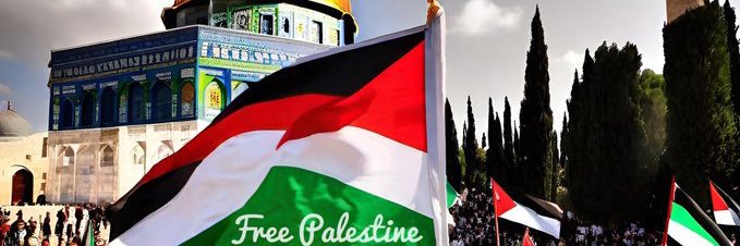 Mohammed T Ibrahim banner