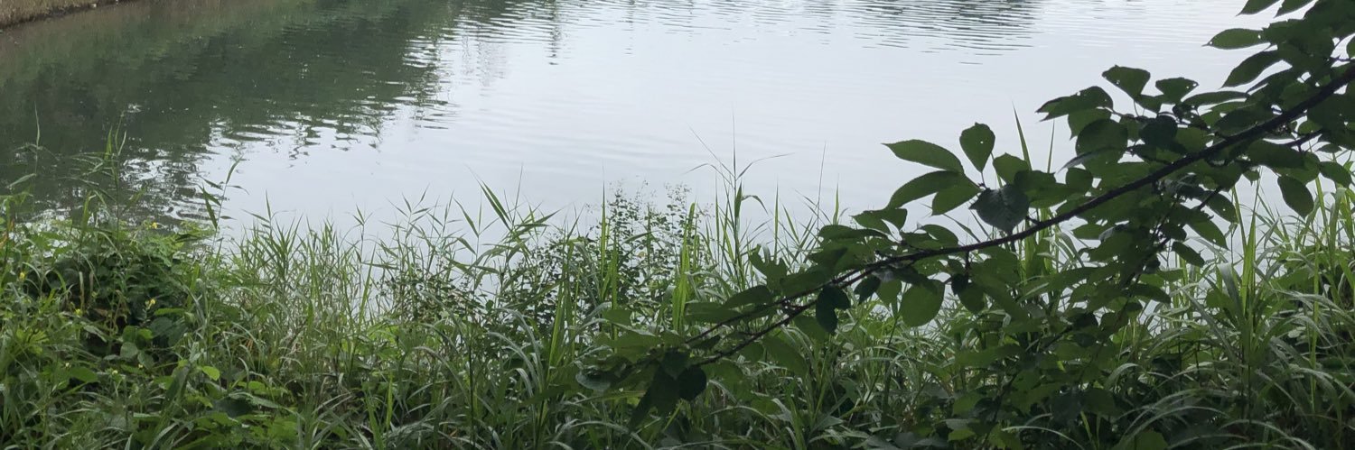 임경선 banner