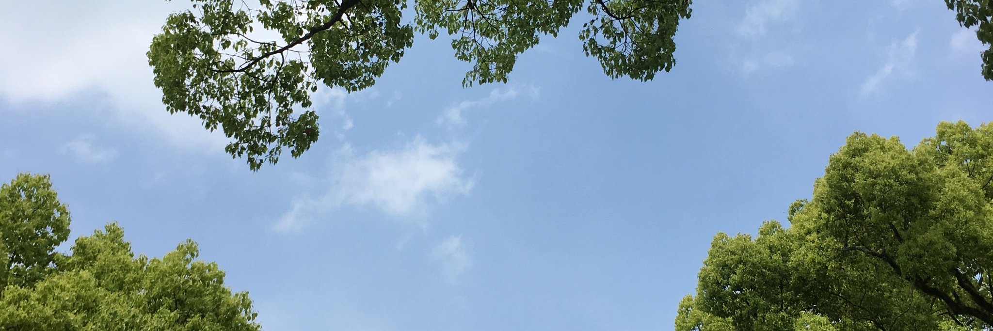 107NW8's profile banner image