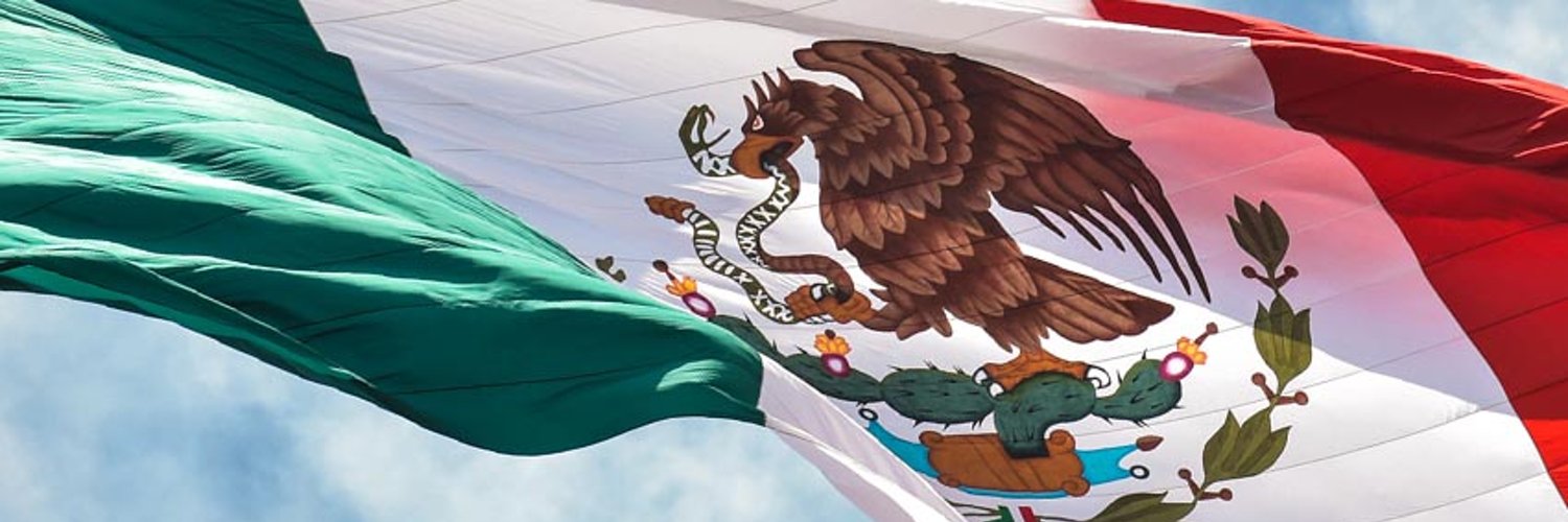 El sensei de la política .·. 🇲🇽 's banner