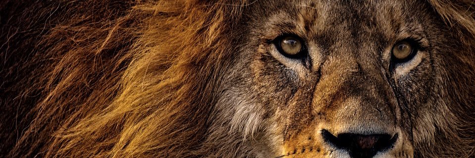 𝐀𝐁 🕎 banner