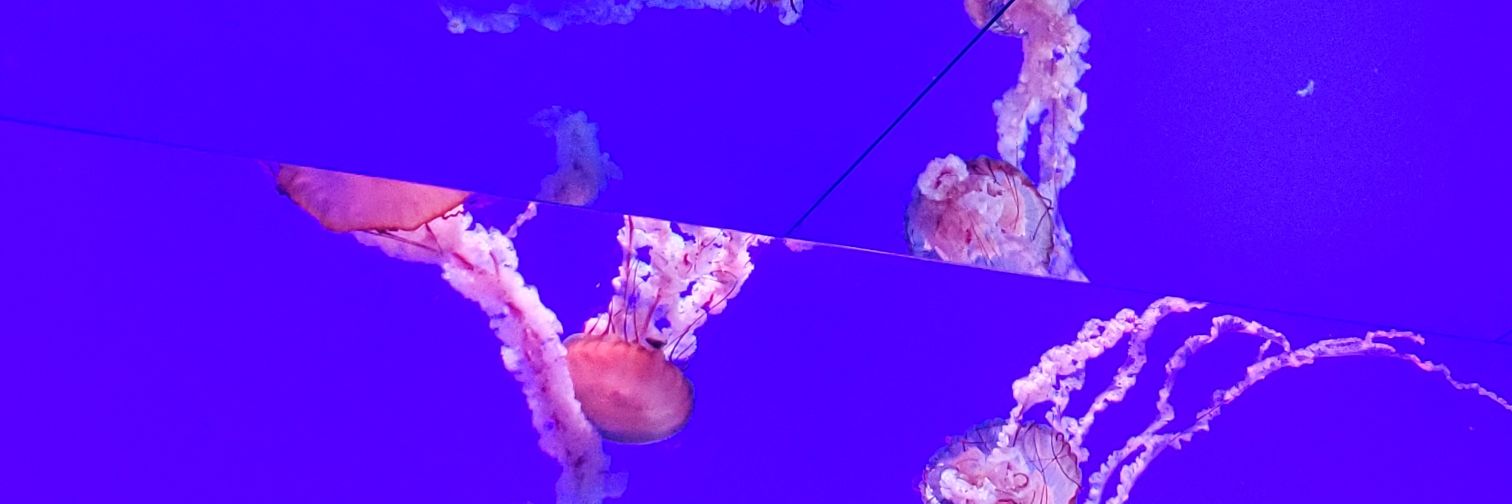 squishy_child's profile banner image