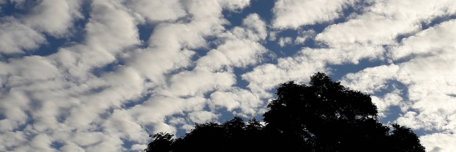 uliazcuy's profile banner image