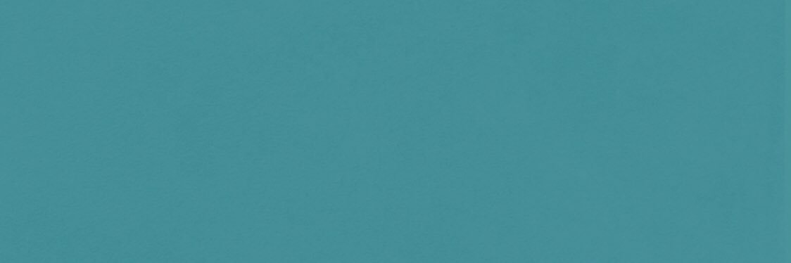 steven barwin banner