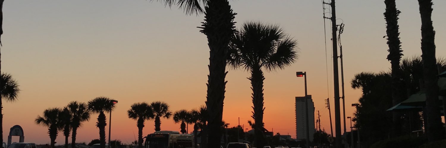 stitt_alyssa's profile banner image