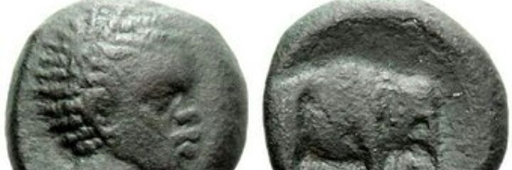 Da_Gr8_Elephant's profile banner image