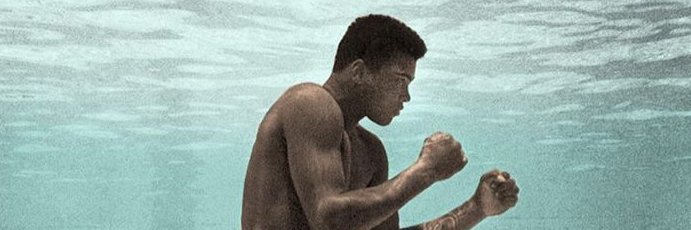 não sou Lucas banner