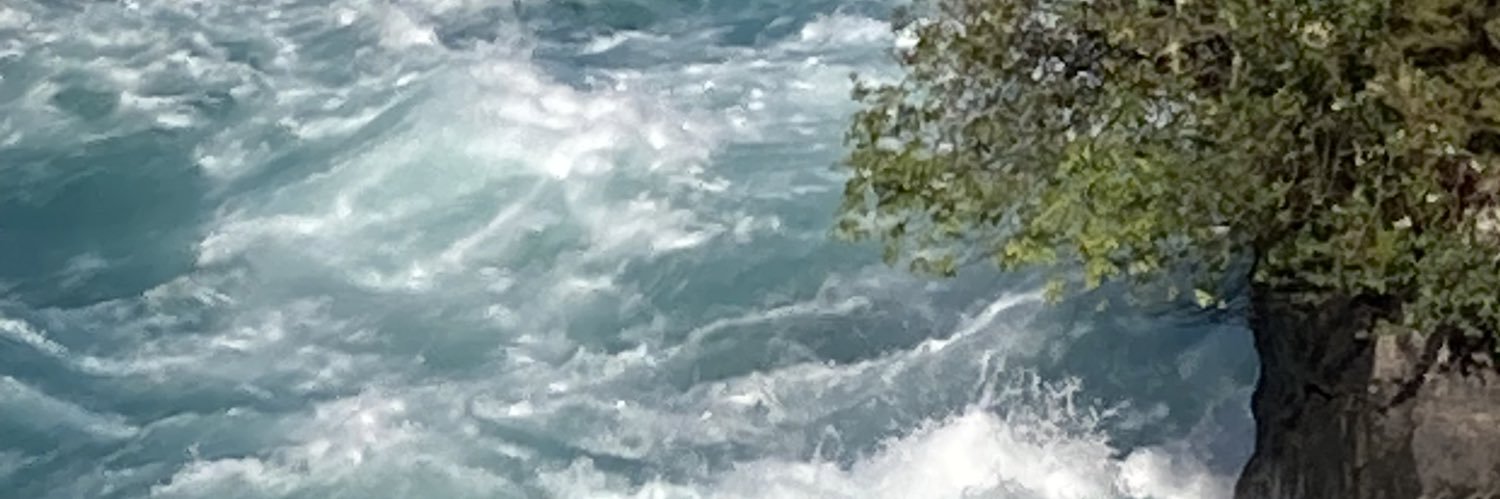catkthompson's profile banner image