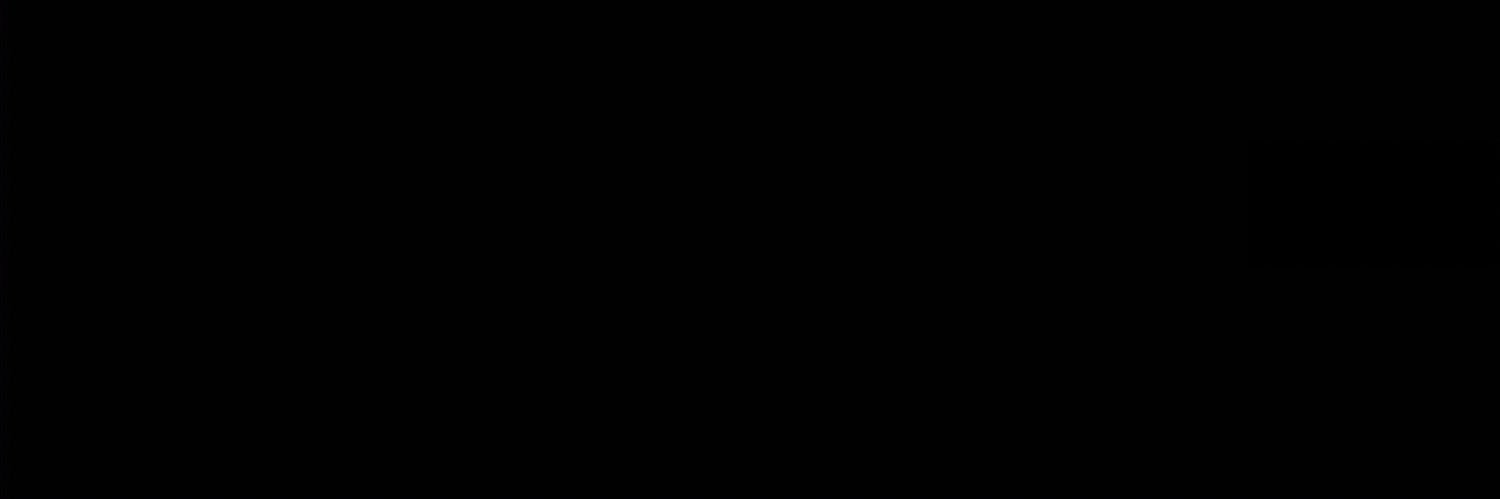 anakarlava's profile banner image