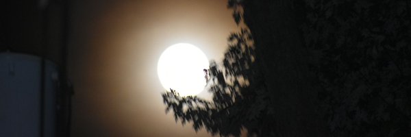 SCDWorld Profile Banner