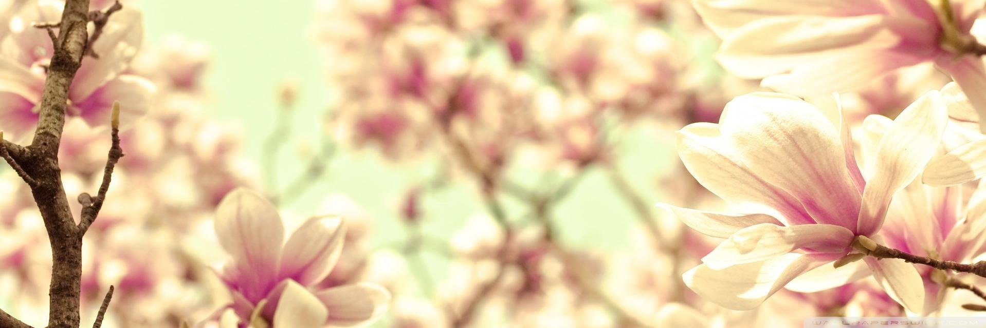 Veli_Ramirez's profile banner image