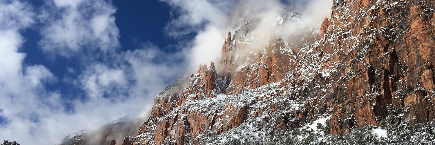 Corinne Riddell banner