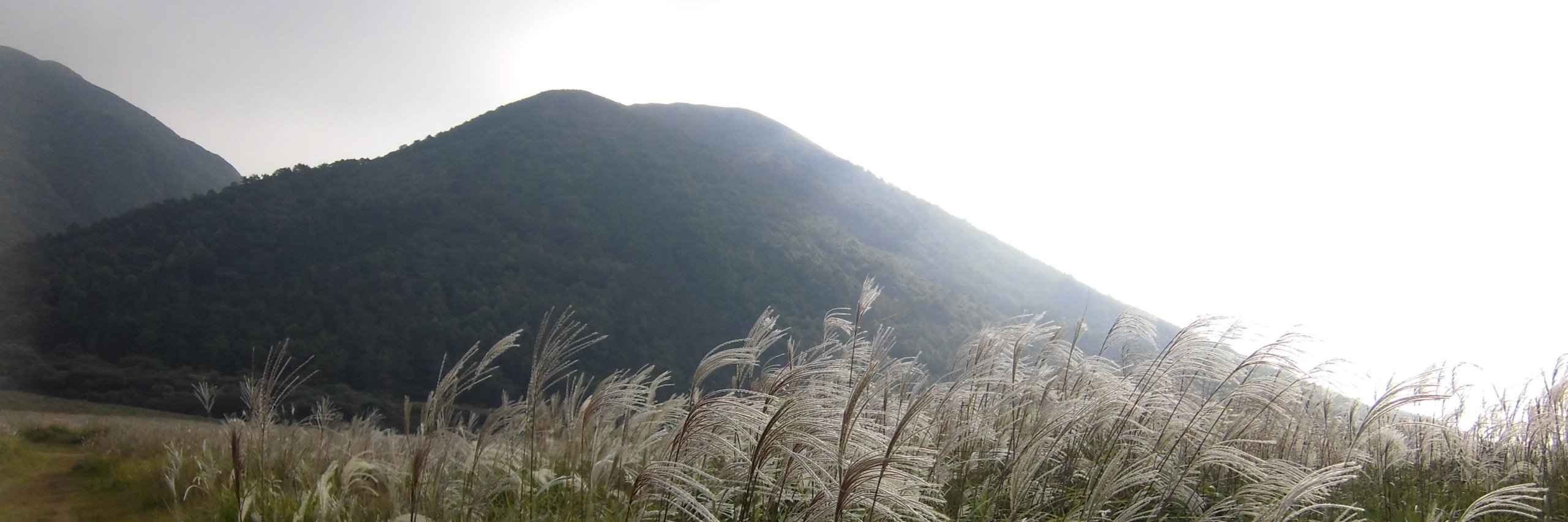 masabou_i's profile banner image