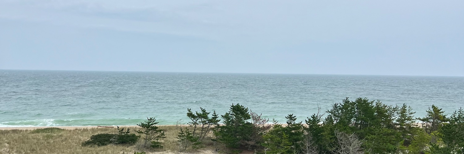 JoyceSereia's profile banner image