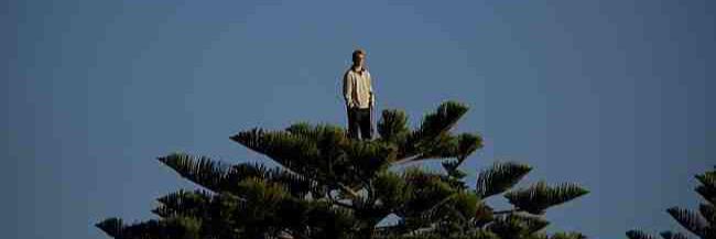 Alec_Smilks's profile banner image