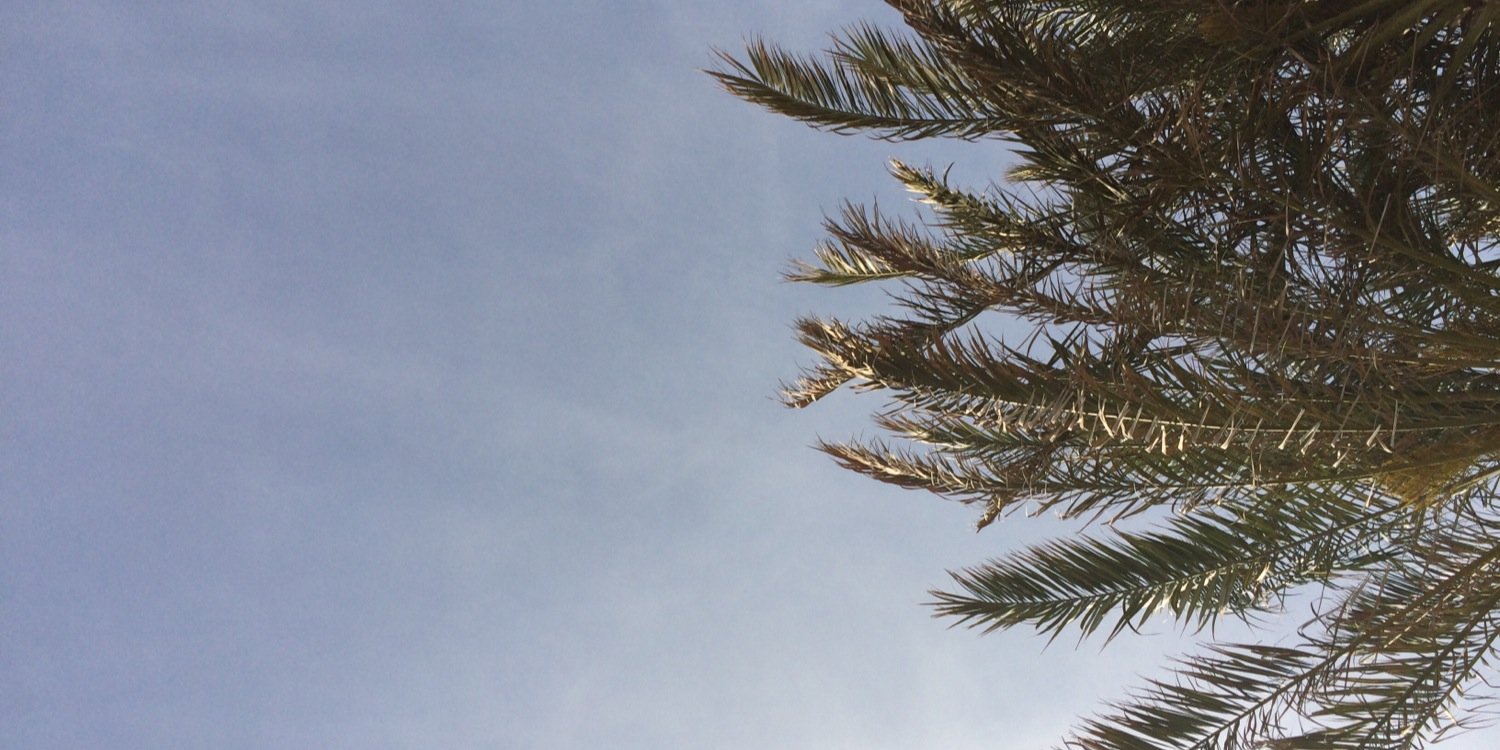 Estefanianebrer's profile banner image