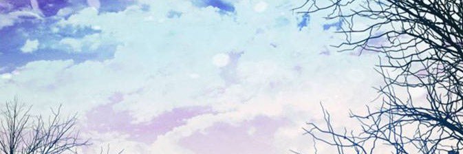 The Borin' Vincent banner