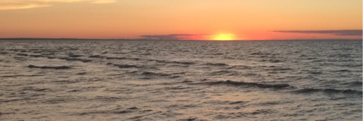 RyanCarrigan2's profile banner image