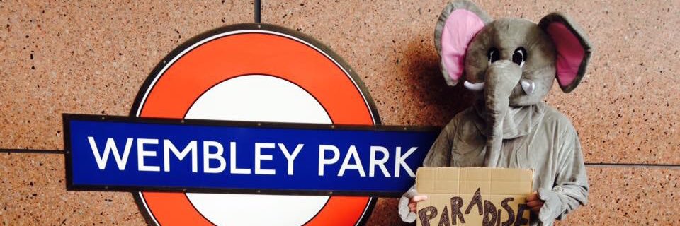 JackTitley92's profile banner image