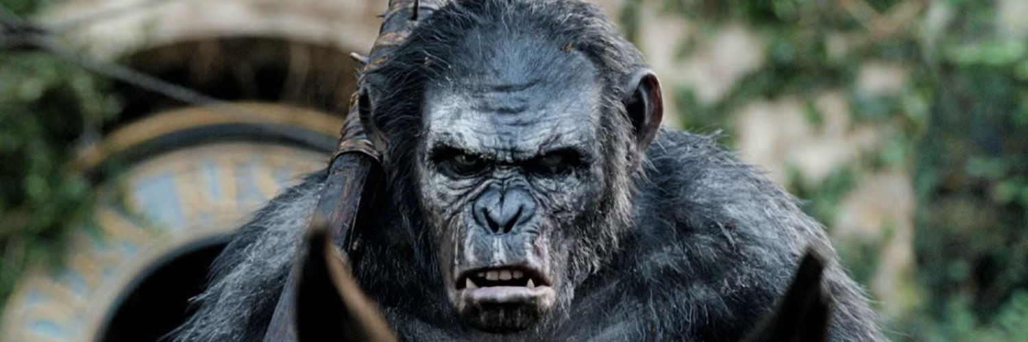 Darealnell_'s profile banner image