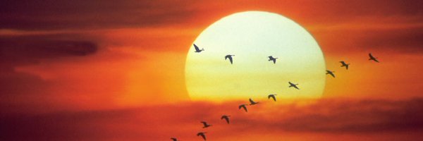 randyweekes Profile Banner