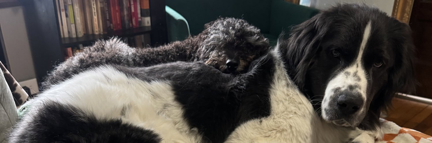 BaileyMecurio's profile banner image