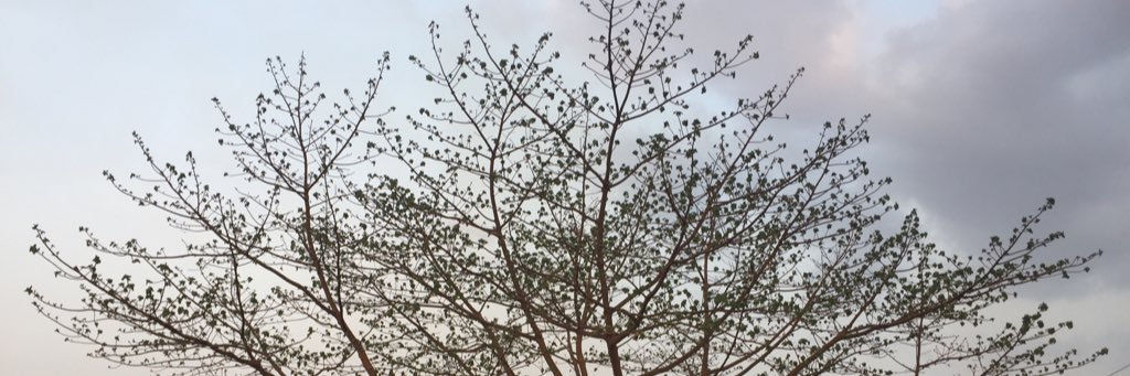 albertmnana's profile banner image