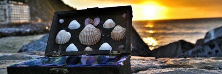 BusyGallardo's profile banner image