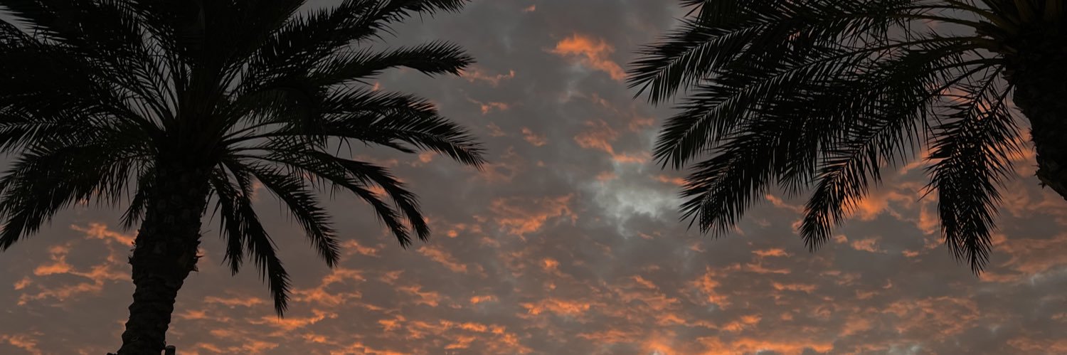 njadeec's profile banner image