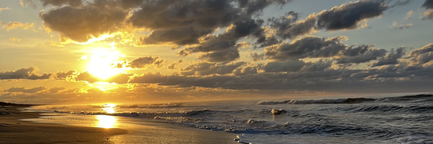 mi_SEAshell's profile banner image