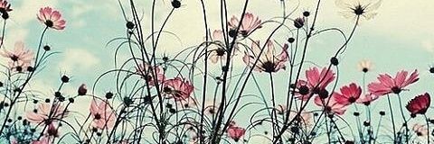 bajubagus_'s profile banner image
