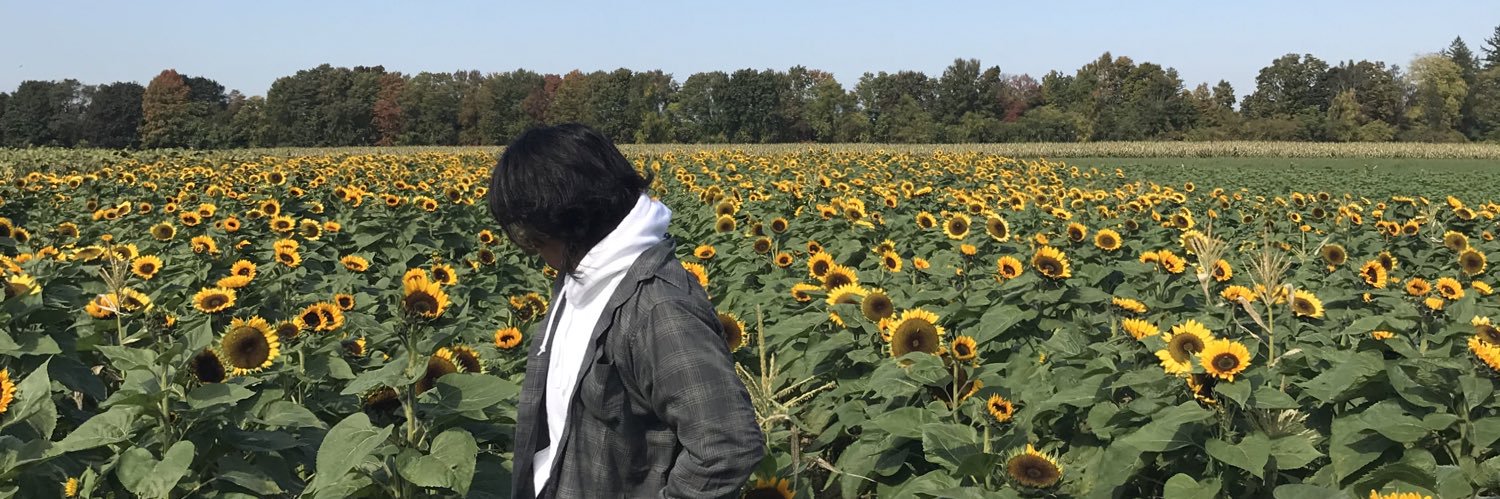 renzoeseo's profile banner image