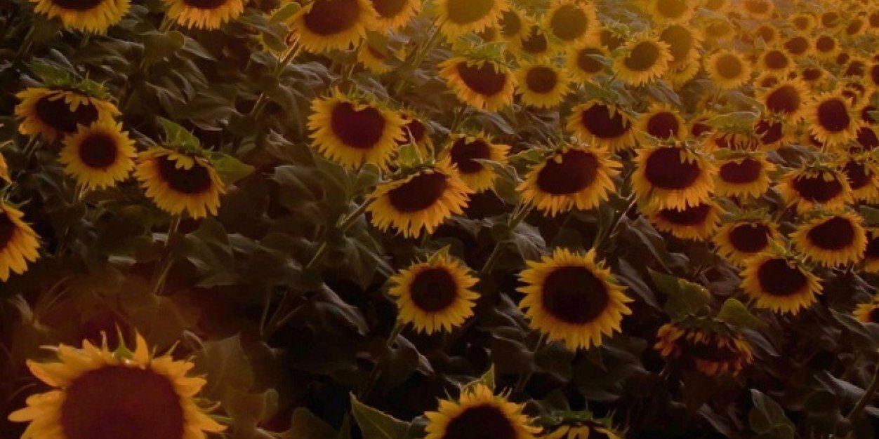 angelina_will's profile banner image