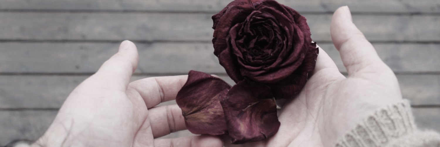 kindhstyles's profile banner image