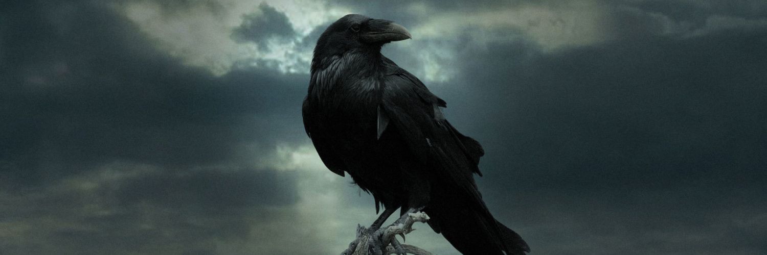 DR_Devin5's profile banner image