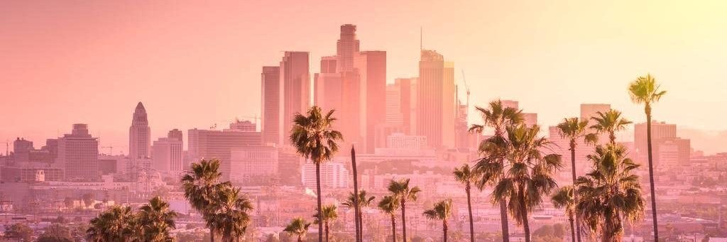 SKDistribution's profile banner image