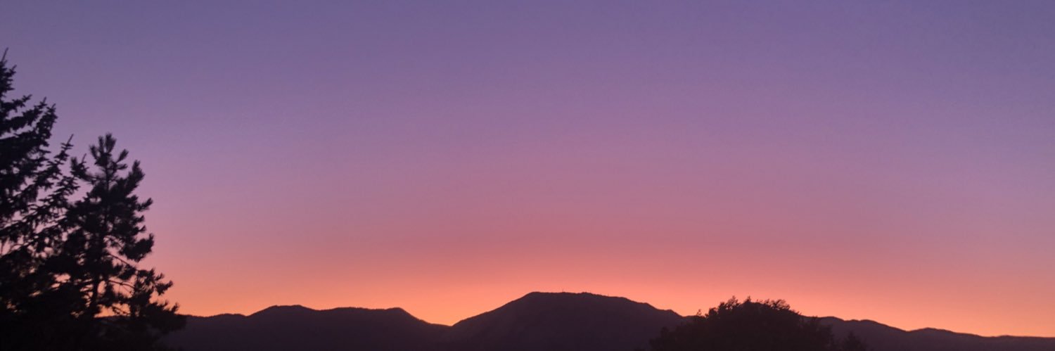 horse_diva's profile banner image