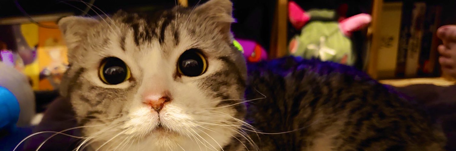 Fiayky's profile banner image