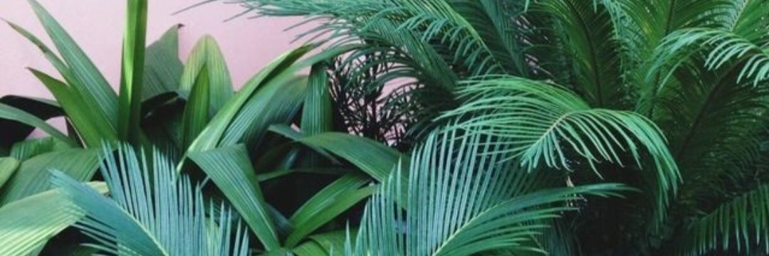 AmberPaske's profile banner image