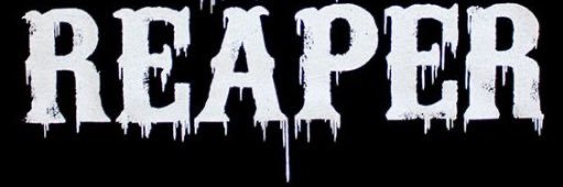 THE REAL LUCKY X3 banner