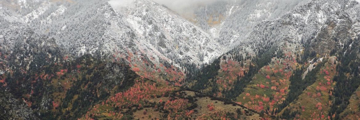 Carter Robinson banner