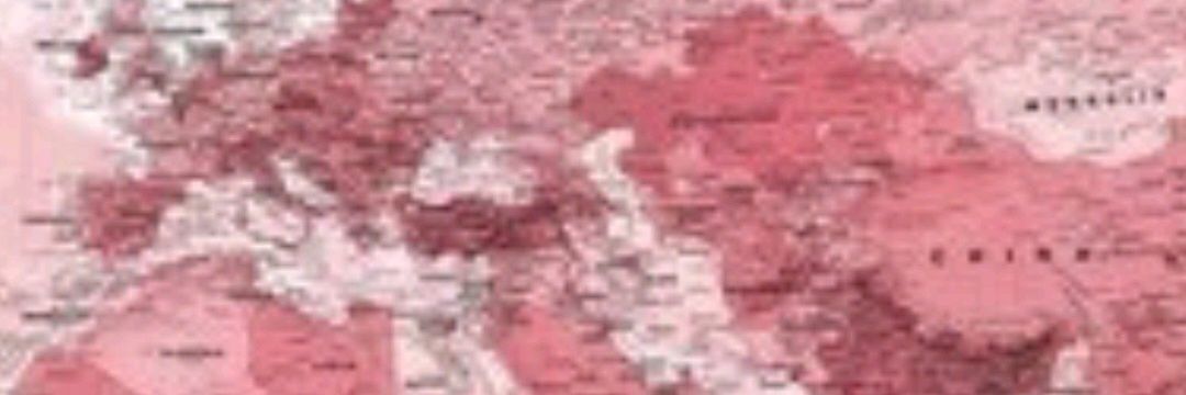 libelula_lili's profile banner image