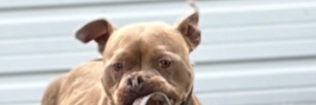 MoneyMilt_'s profile banner image