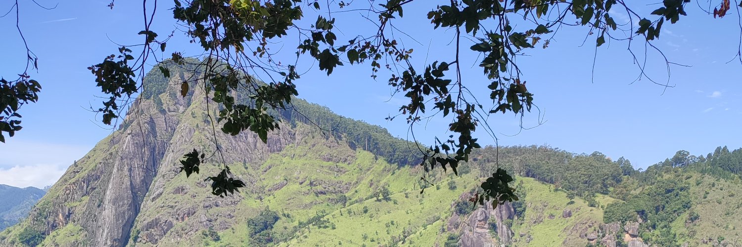 DinPhi's profile banner image