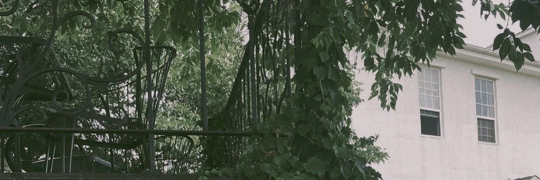 semaunyaaaaa's profile banner image
