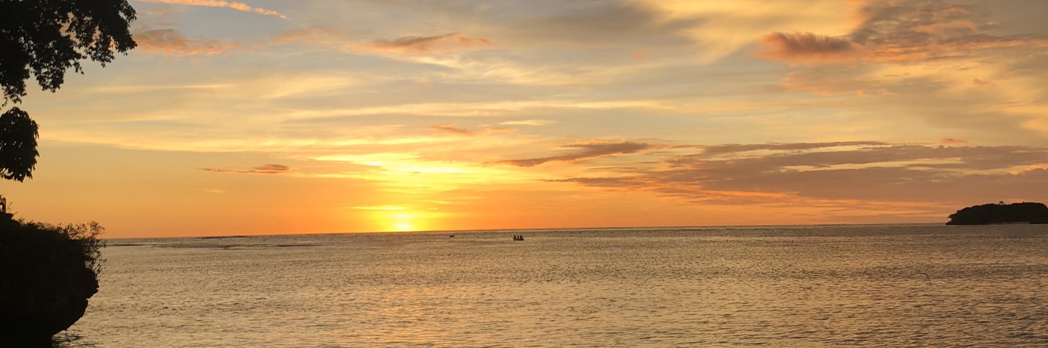 Browngiraffe's profile banner image