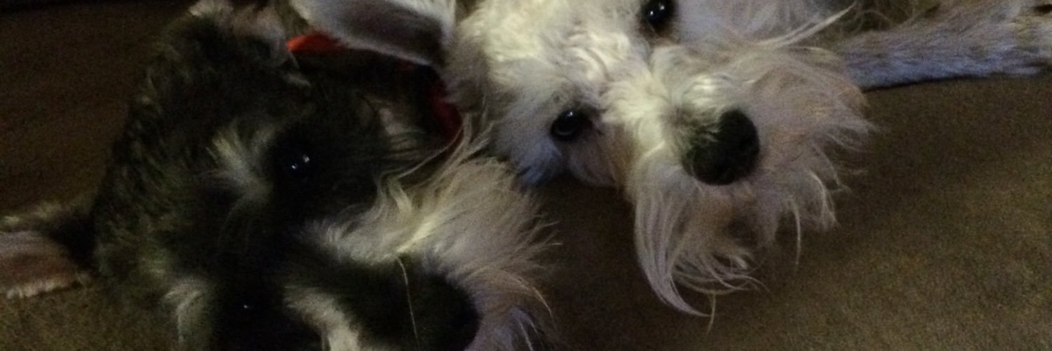 SammyKing2's profile banner image
