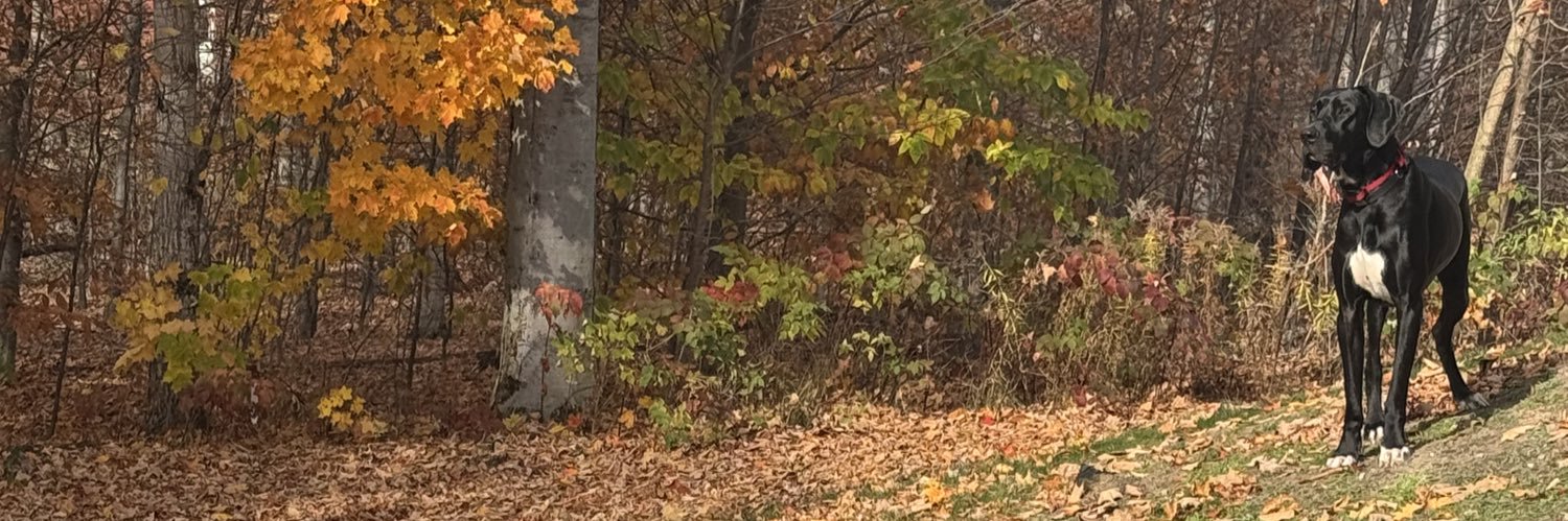 Stephen Handwerk banner