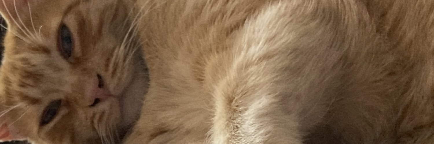 mymsol11's profile banner image